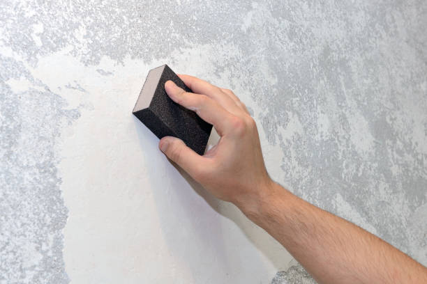 Best Forensic Mold Investigation  in Drew, MS