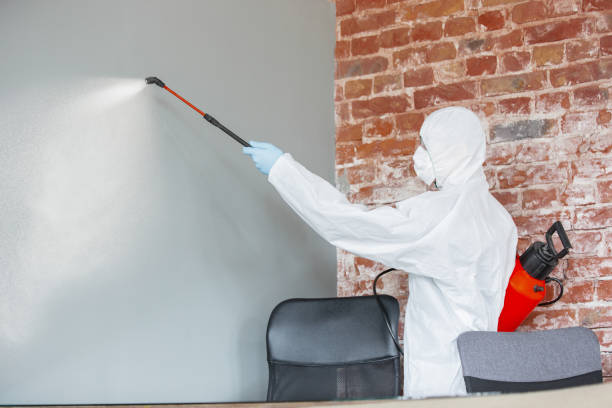 Best Post-Remediation Verification Testing  in Drew, MS