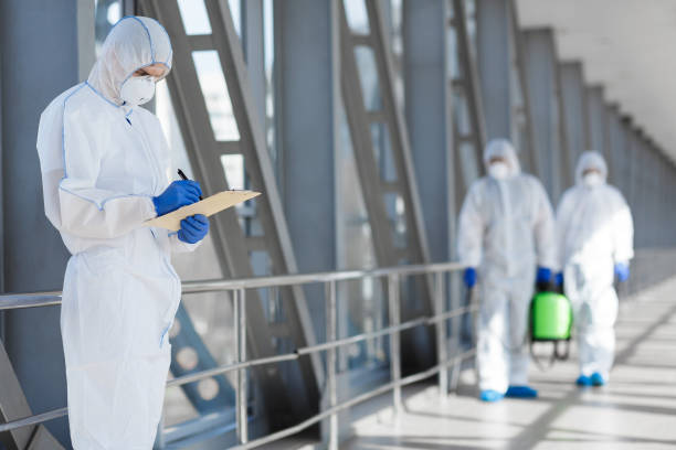 Best Mold Removal for HVAC Installations  in Drew, MS