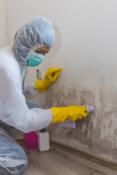 Best Crawl Space Mold Remediation  in Drew, MS