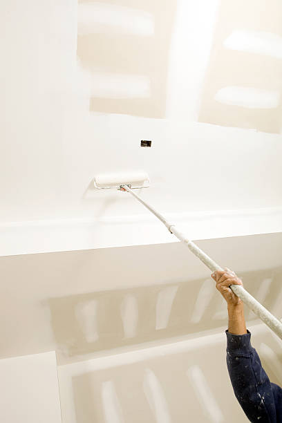 Best Mold Documentation for Insurance Claims  in Drew, MS