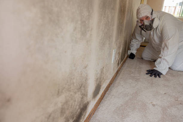 Best Dehumidification Services  in Drew, MS