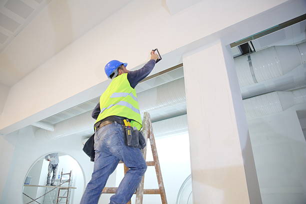 Best Basement Mold Removal  in Drew, MS