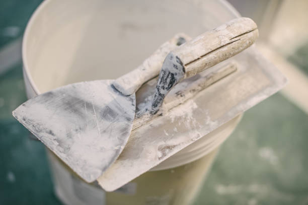 Best Industrial Mold Remediation  in Drew, MS
