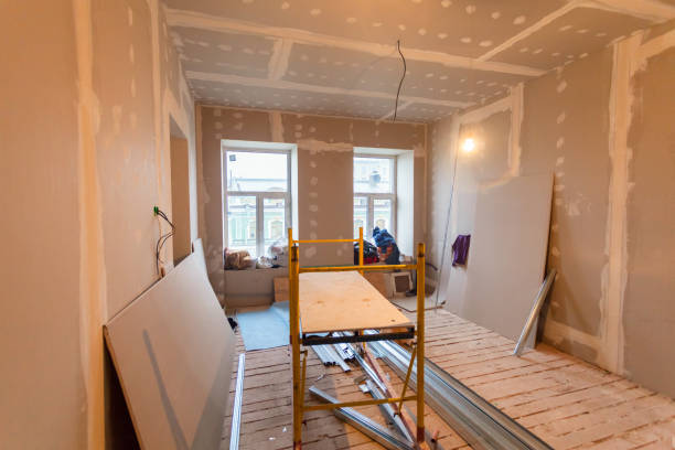 Professional Mold Removal in Drew, MS